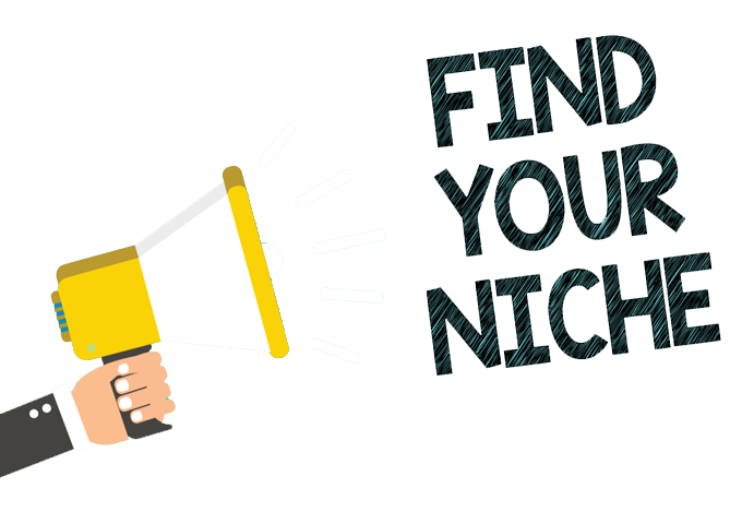 CHOOSE A PROFITABLE NICHE