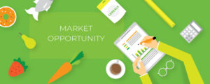 Market Opportunity 300x120