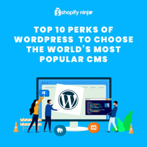 Top 10 Perks Of Wordpress To Choose The World’s Most Popular CMS Post 300x300