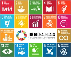 Sustainable Development Goals 300x240